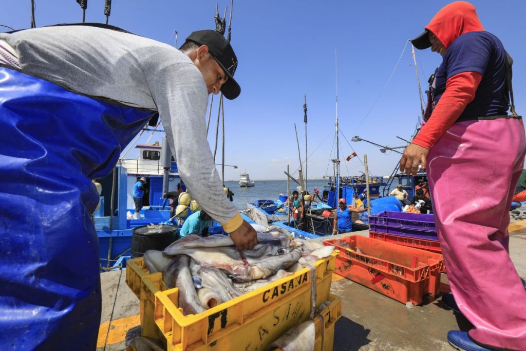 Sanipes implulsa la pesca artesanal para afrontar fenómeno el Niño