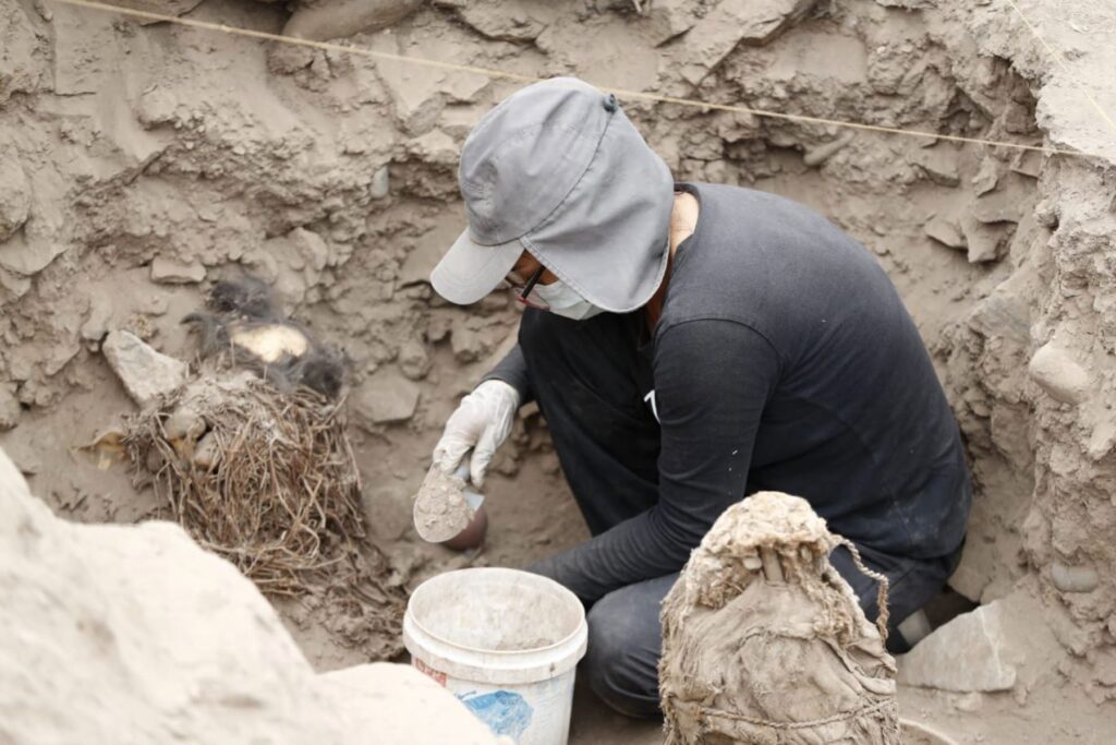 Descubren cinco momias de más de mil años de antigüedad ¿en qué distrito fueron halladas?