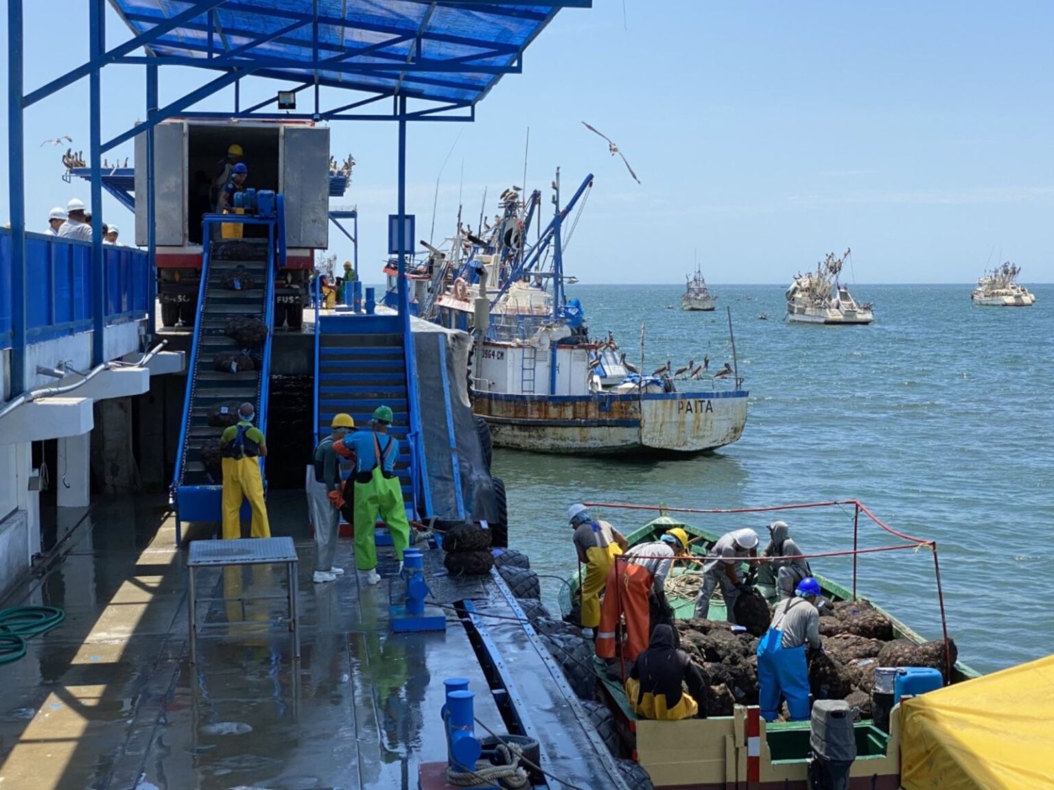 Aniversario de Piura: ante el retroceso de su economía, se requiere recuperar el dinamismo de sectores clave