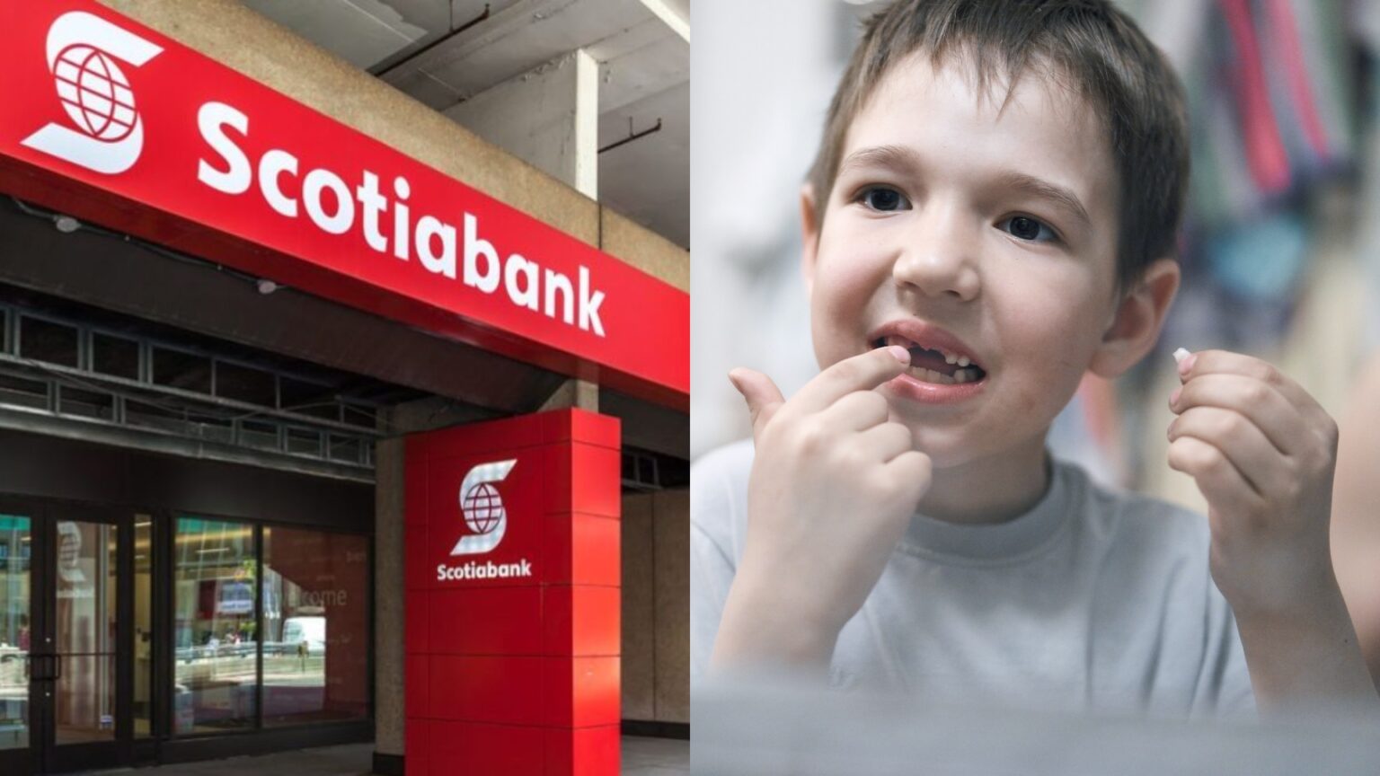 Scotiabank regalará 100 soles a pequeños que lleven su diente de leche: ¿cómo funciona esta promoción?