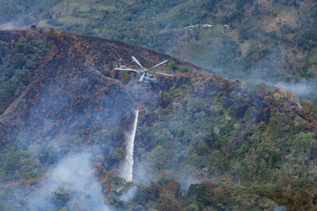 Incendios forestales en Perú: 15 muertos y 98 heridos en lo que va del año