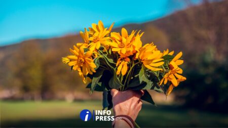 Fechas especiales para regalar flores amarillas y su significado