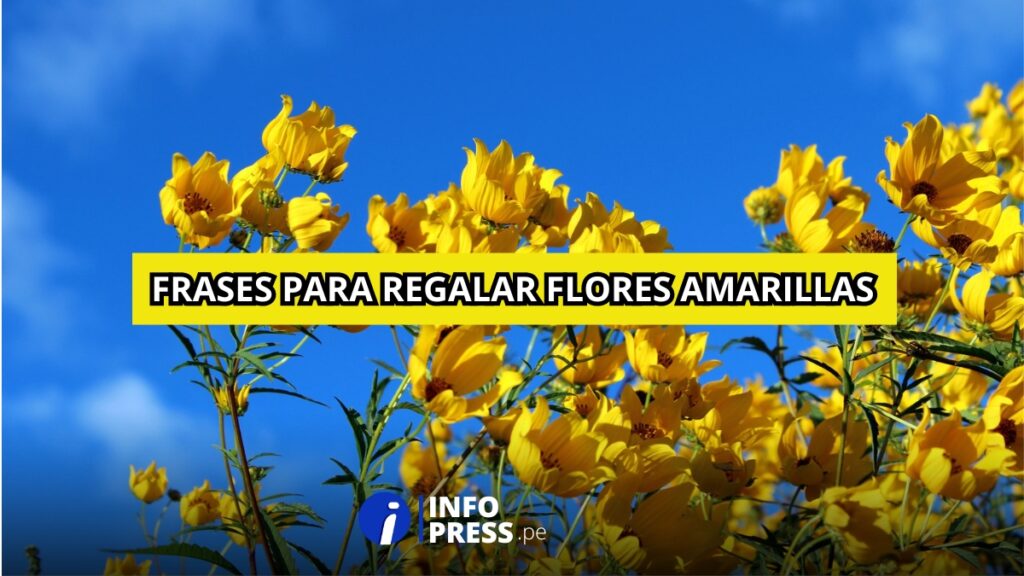 15 frases para acompañar tus flores amarillas este 21 de setiembre