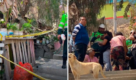 Lima: madre e hijos fueron asesinados en su vivienda en Ate