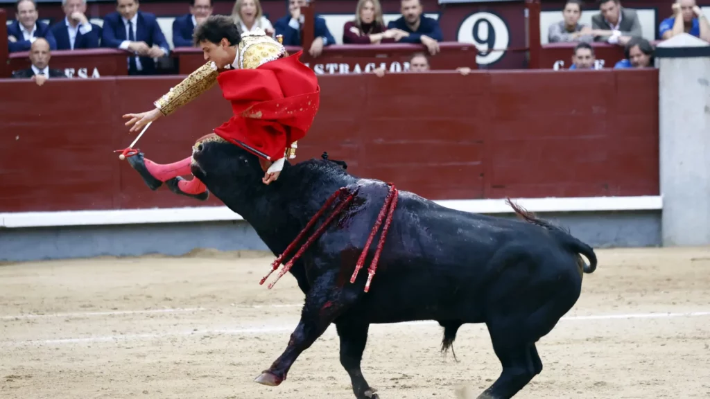 Andrés Roca Rey en recuperación tras grave cornada en Madrid