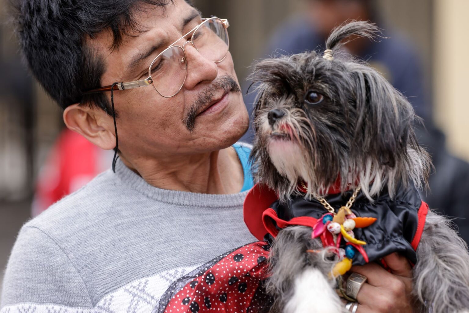 Congreso: proponen licencia laboral por fallecimiento de mascotas