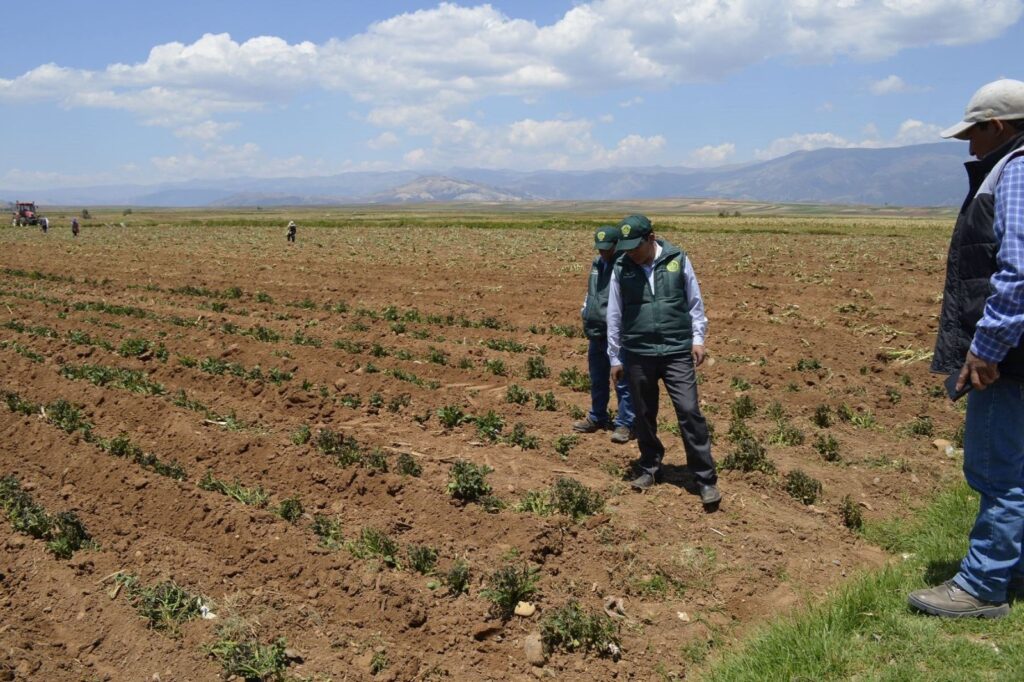 Piura: ¿Cómo impacta la crisis hídrica en distintos sectores?