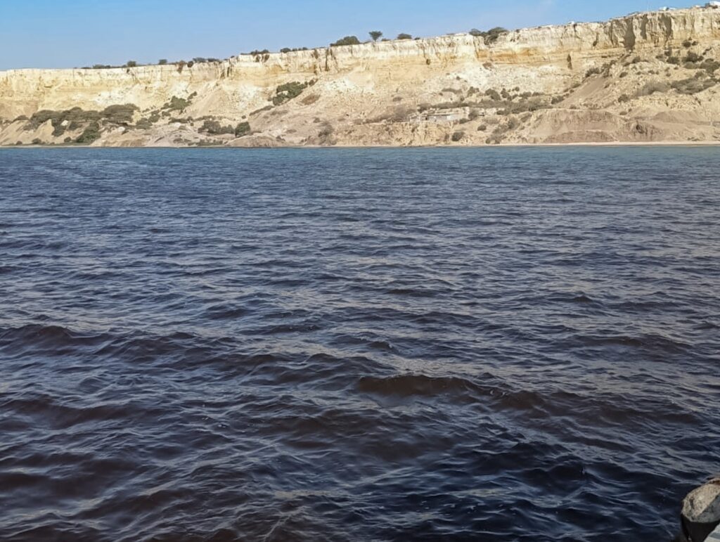 Manchas rojas en el mar de Paita IMARPE detecta floración algal nociva