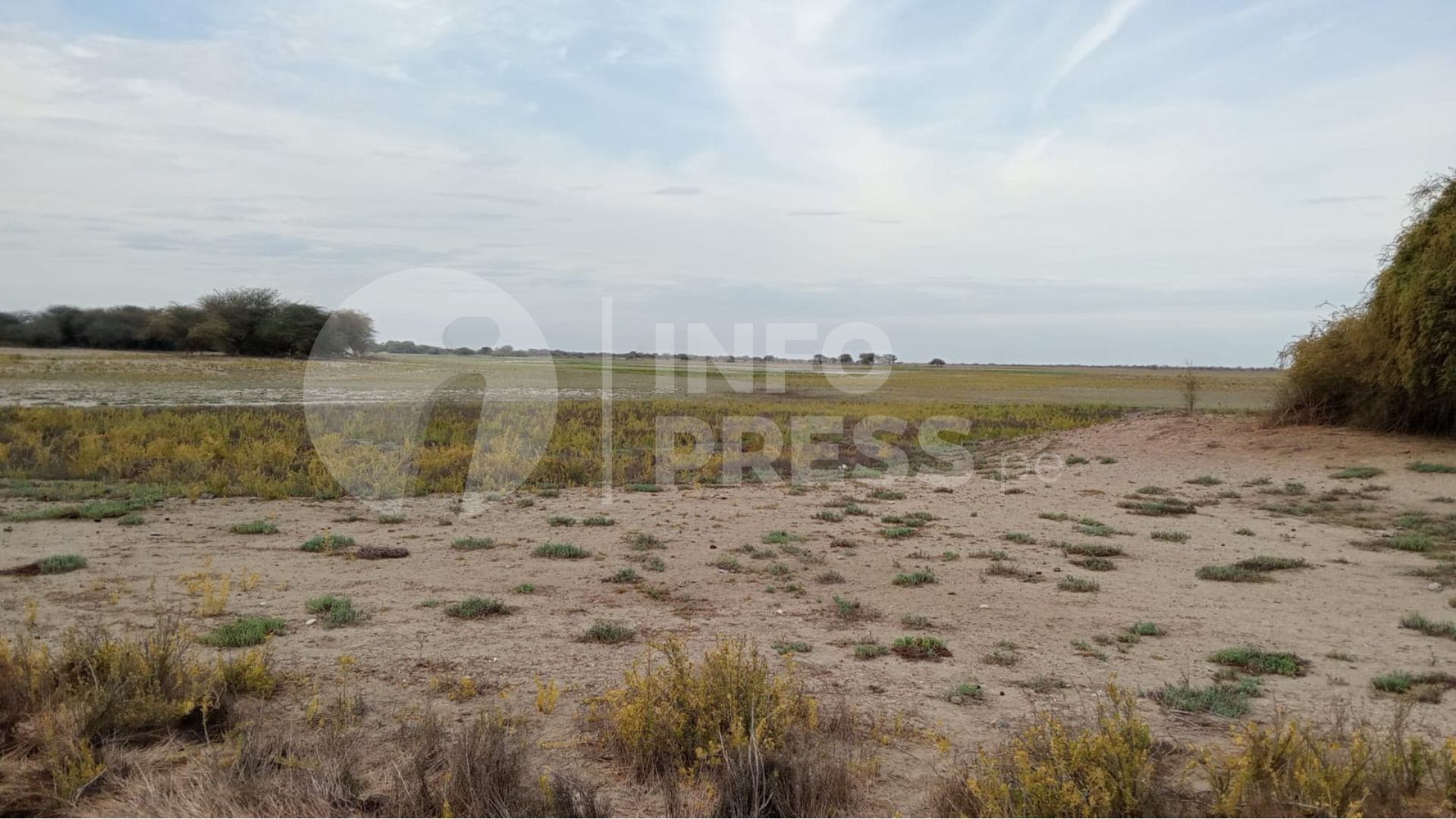 Sechura: 5000 personas afectadas por la falta de agua en La Laguna Ñapique