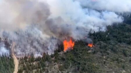 Argentina incendios forestales arrasan con 8700 hectáreas de bosque en La Patagonia