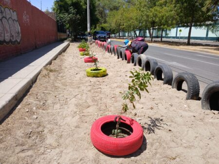 Recuperan zona afectada por acumulación de basura en barrio Buenos Aires de Piura