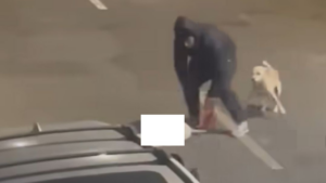 Hombre mata a golpes a una pequeña perra en el centro de Trujillo