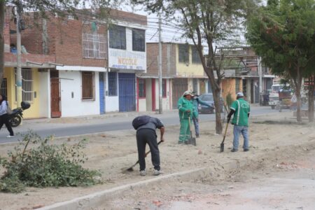 MPP realiza labores de limpieza en Av. Los Algarrobos para mejorar el entorno urbano