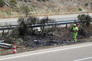 Diogo Jota y su hermano fallecen en accidente en Zamora: vehículo quedó calcinado