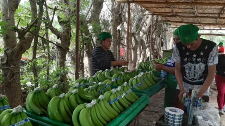 Cámara de Comercio: la economía de Piura creció 5.7% en el primer trimestre de 2025