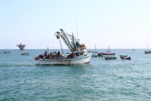 Con un campo fértil y un mar productivo, Piura convierte su riqueza natural en desarrollo económico