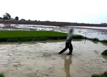 Encuentran a menores trabajando en campos agrícolas en Tumbes