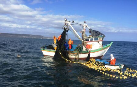 Pesca ilegal en Perú: un problema creciente con graves impactos económicos y de seguridad