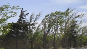 Senamhi alerta vientos de hasta 45 km/h en la sierra norte hasta el 26 de agosto