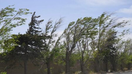 Senamhi alerta vientos de hasta 45 km/h en la sierra norte hasta el 26 de agosto