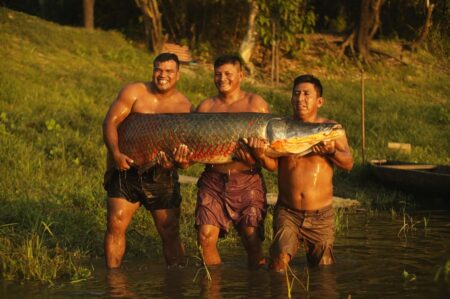 Todo sobre el paiche: valor nutricional y preparaciones saludables