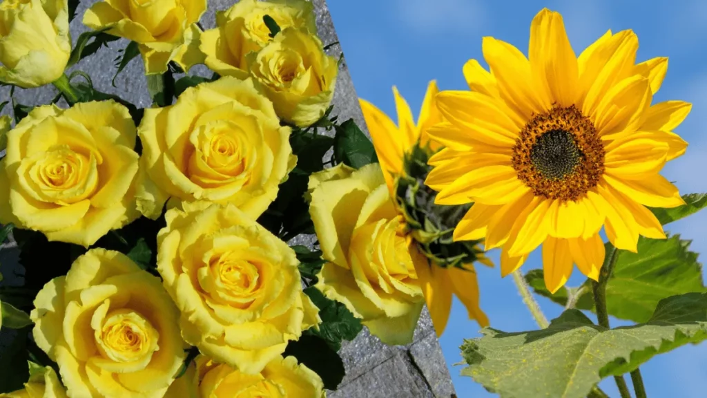 Por qué se regalan flores amarillas el 21 de septiembre en Perú