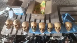 Ocho cráneos humanos fueron hallados en encomiendas enviadas desde Lima hacia Cusco Ocho cráneos humanos fueron hallados en encomiendas enviadas desde Lima hacia Cusco