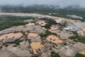 Empresarios rechazan ampliación del Reinfo por riesgos a la industria Empresarios rechazan ampliación del Reinfo por riesgos a la industria