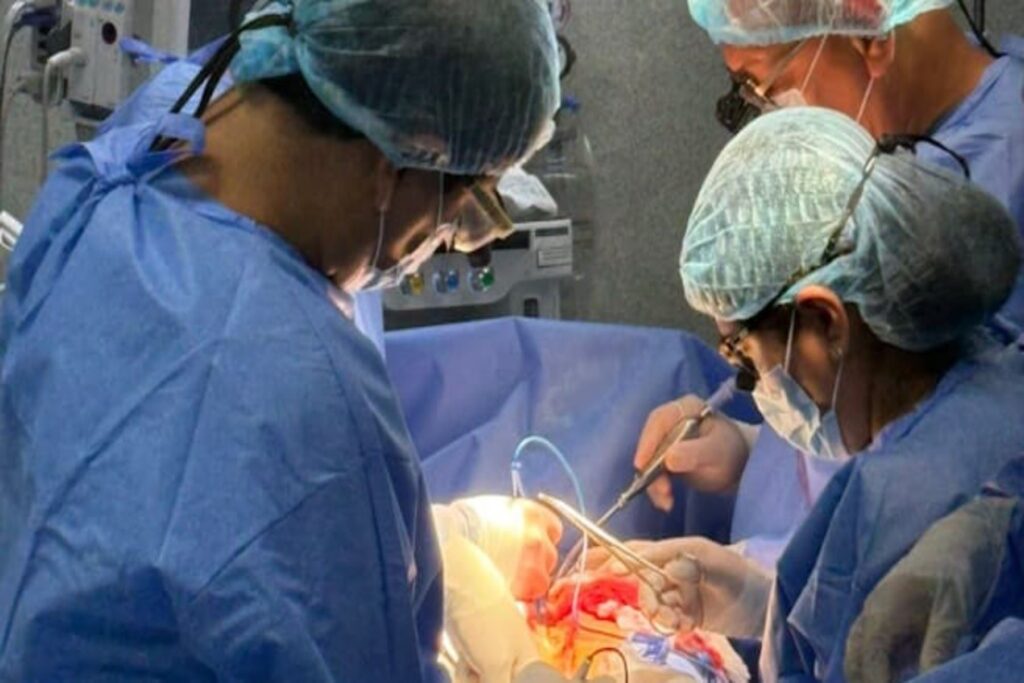 Más de 3500 trasplantes fueron realizados en el Perú desde 2005