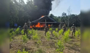 Narcotráfico y minería ilegal afectan la Amazonía peruana Narcotráfico y minería ilegal amenazan selva peruana