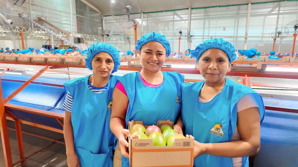 Con apoyo de Suiza, Piura potencia la competitividad en la cadena del mango con el lanzamiento del proyecto Innova Mango Piura Con apoyo de Suiza, Piura potencia la competitividad en la cadena del mango con el lanzamiento del proyecto Innova Mango Piura