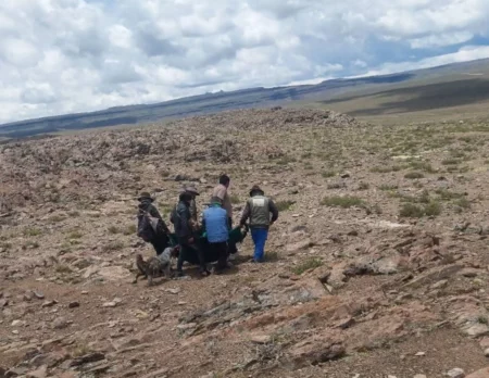 Ayacucho: Adulto mayor muere junto a su mascota tras impacto de rayo