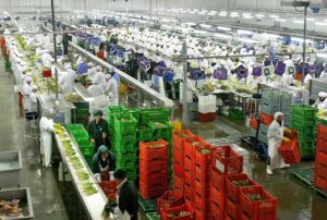 Piura registró envíos por US$ 4,161 millones en 2025