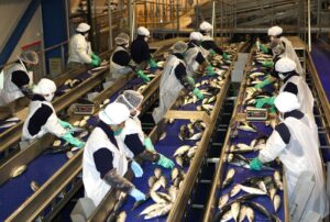 Piura crece más de 4%: ¿cuáles son los sectores que pueden generar mayor empleo?