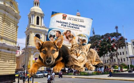 Chiclayo limita la tenencia de mascotas a dos por vivienda