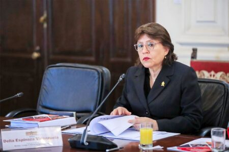 Delia Espinoza pide observar ley que crea el Colegio Profesional de Artistas del Perú