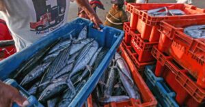 Produce evalúa medidas de apoyo para el sector pesquero ante impacto del fenómeno El Niño Produce evalúa medidas de apoyo para el sector pesquero ante impacto del fenómeno El Niño