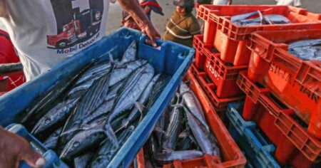 Produce evalúa medidas de apoyo para el sector pesquero ante impacto del fenómeno El Niño