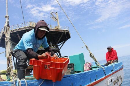 Fenómeno El Niño: Más de 112 mil trabajadores de la manufactura pesquera en Piura requieren medidas de preparación
