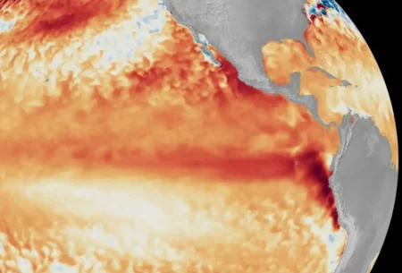 NOAA advierte que el fenómeno de El Niño podría ser uno de los más fuertes desde 1950 NOAA advierte que el fenómeno de El Niño podría ser uno de los más fuertes desde 1950