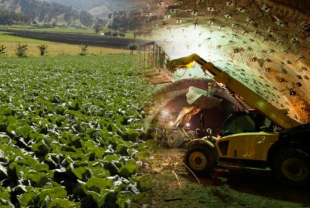 Piura puede recuperar protagonismo económico con proyectos de minería formal, sostiene economista