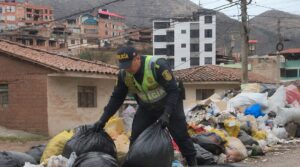 Hallan decenas de cabezas de perros en un descampado de Cusco